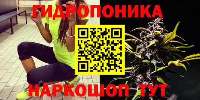 сатива Пушкино