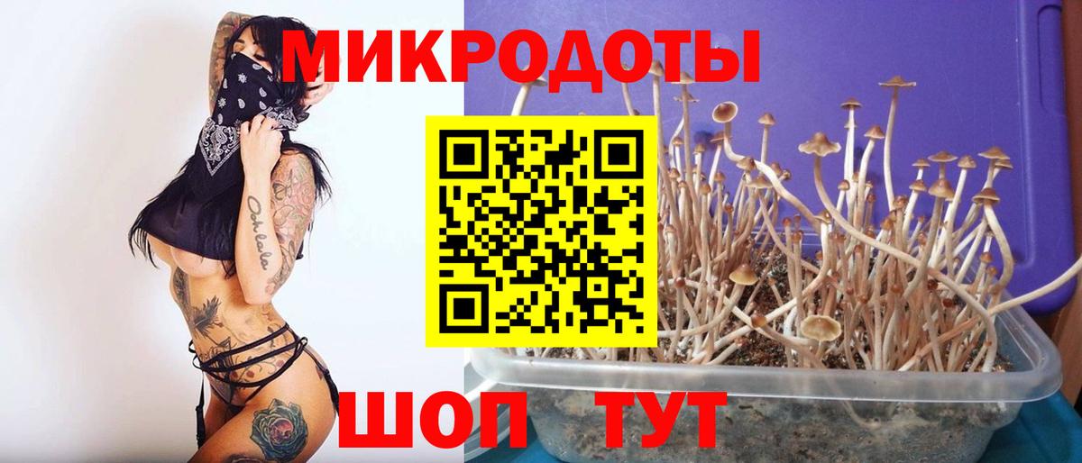 Галлюциногенные грибы мицелий  Псилоцибиновые грибы Cubensis  Вход с VPN  цена   Сызрань 